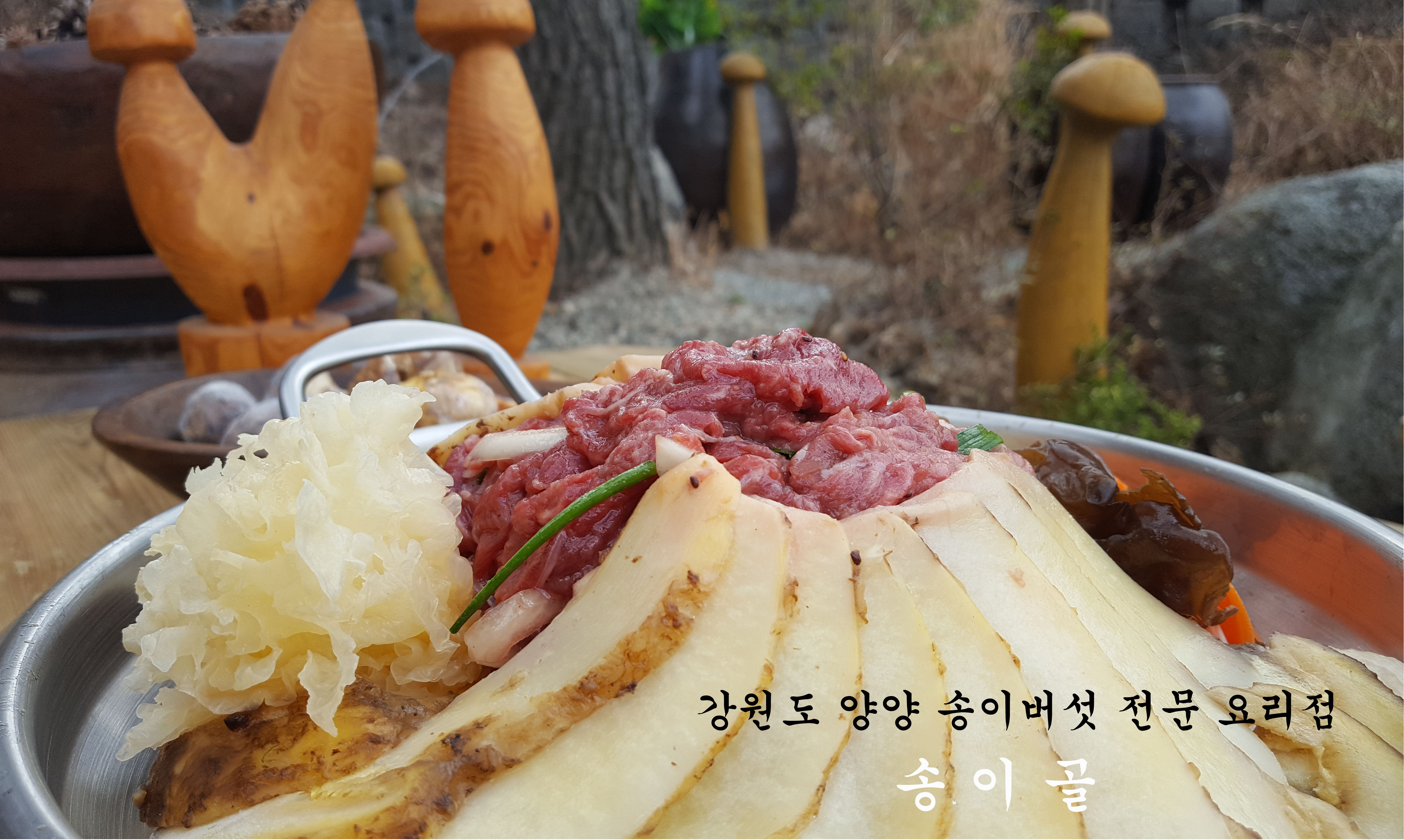 송이골 사진 4