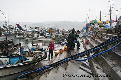 백사장포구 사진 1
