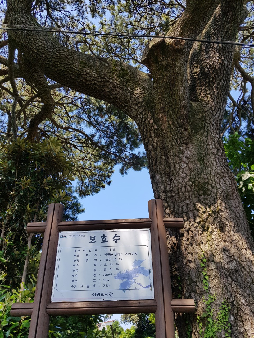 큰엉해안경승지 사진 2