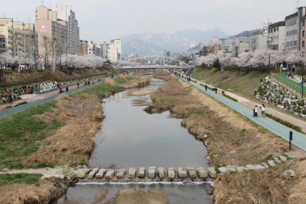 불광천 사진