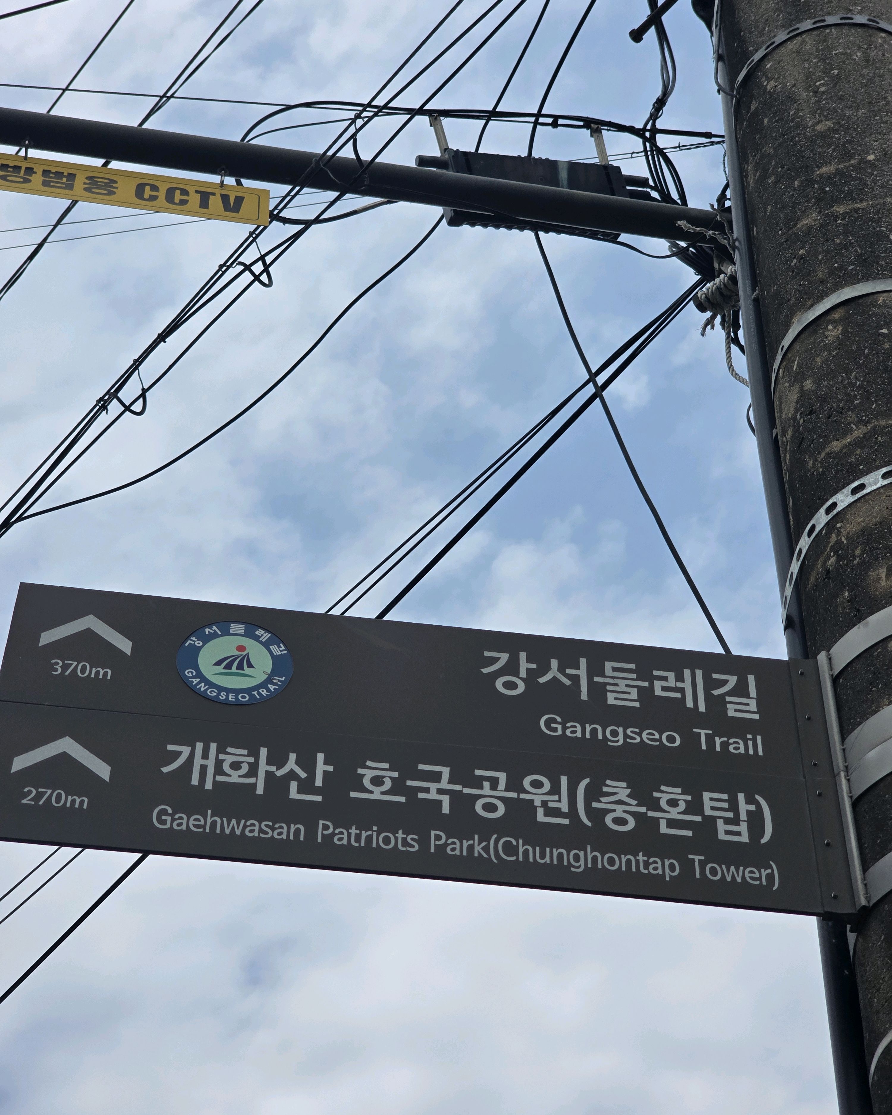 개화산 사진 3