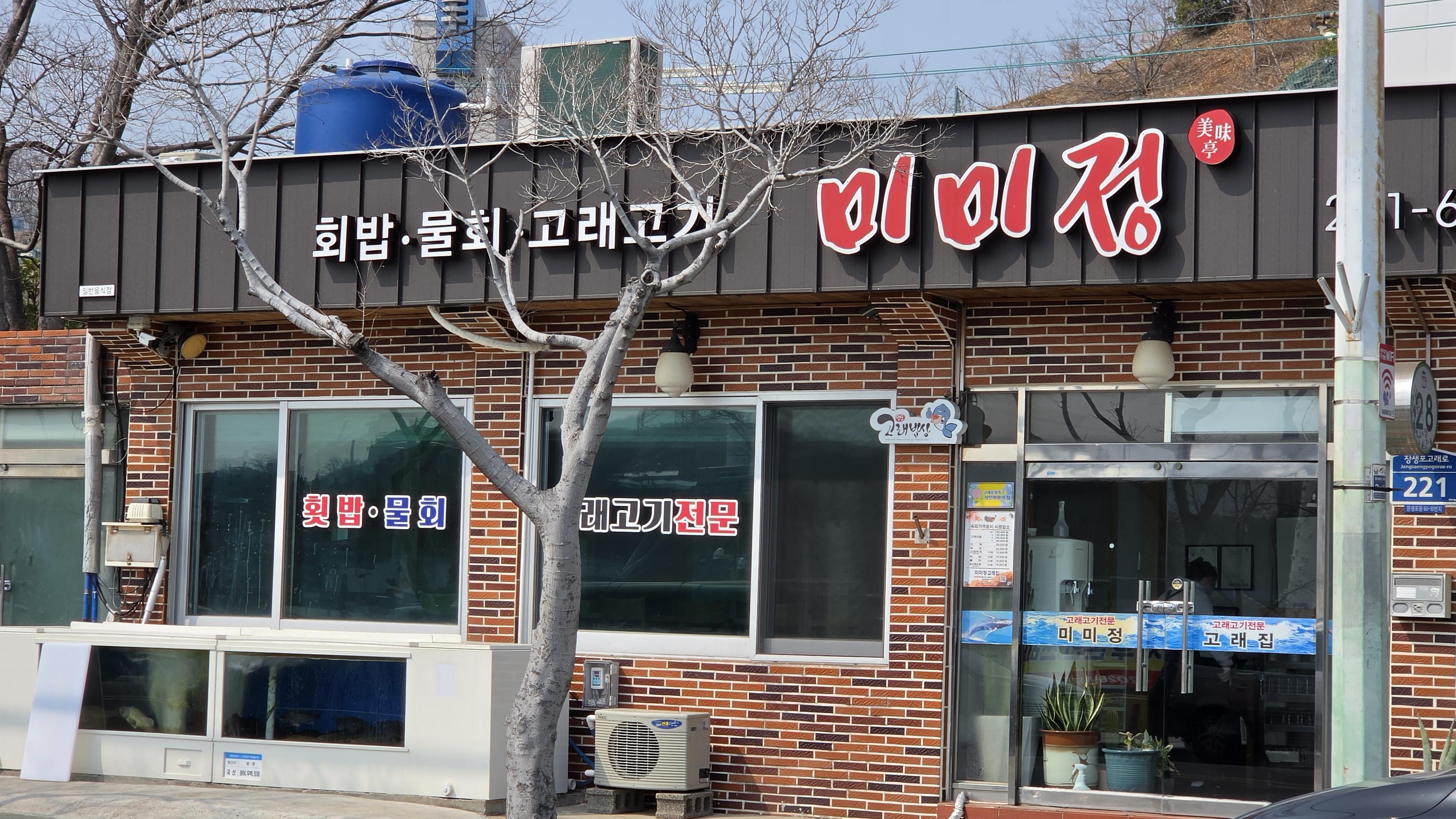 미미정횟집고래고기 사진 1