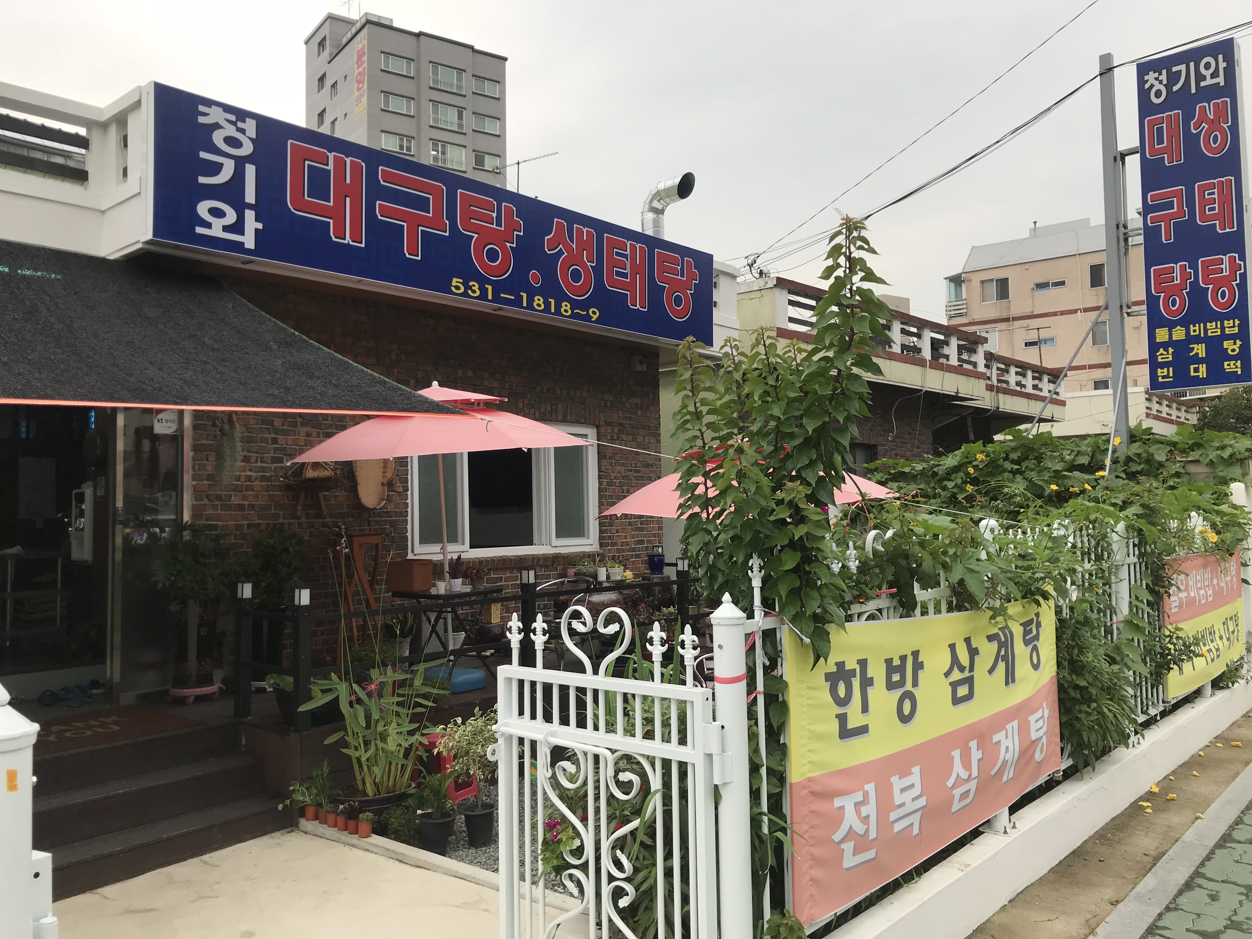 청기와대구탕생태탕 사진 2