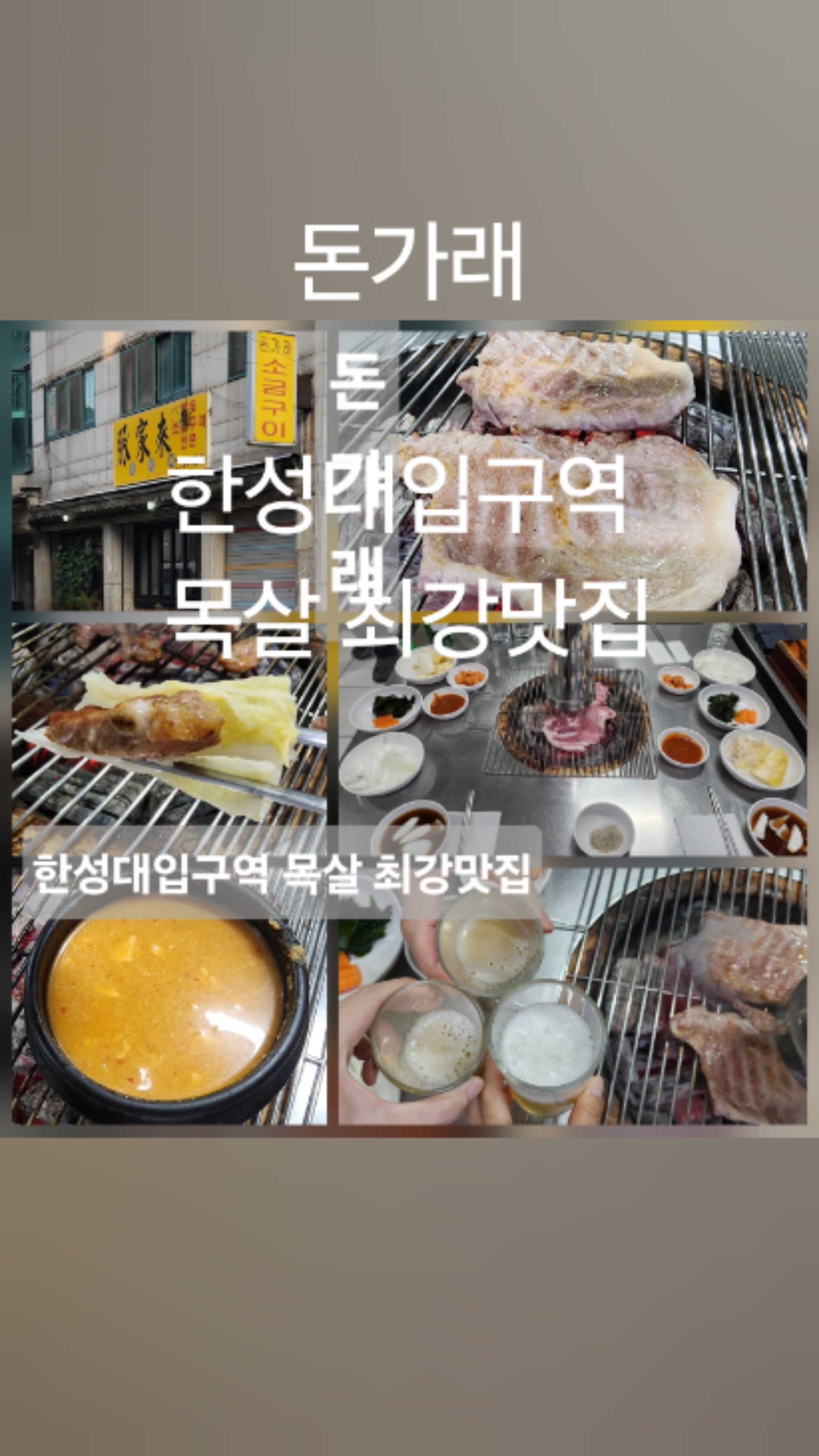돈가래 사진 2