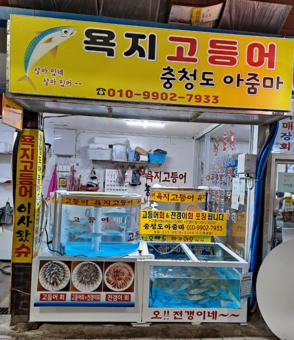 욕지고등어 충청도아줌마 사진 1