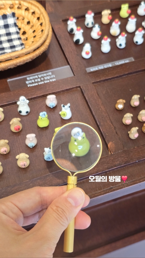 오월의 방울 사진 3