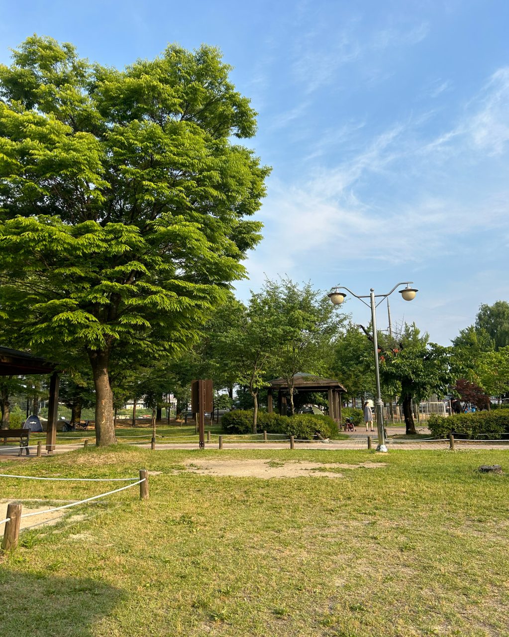 이섭대천공원 사진
