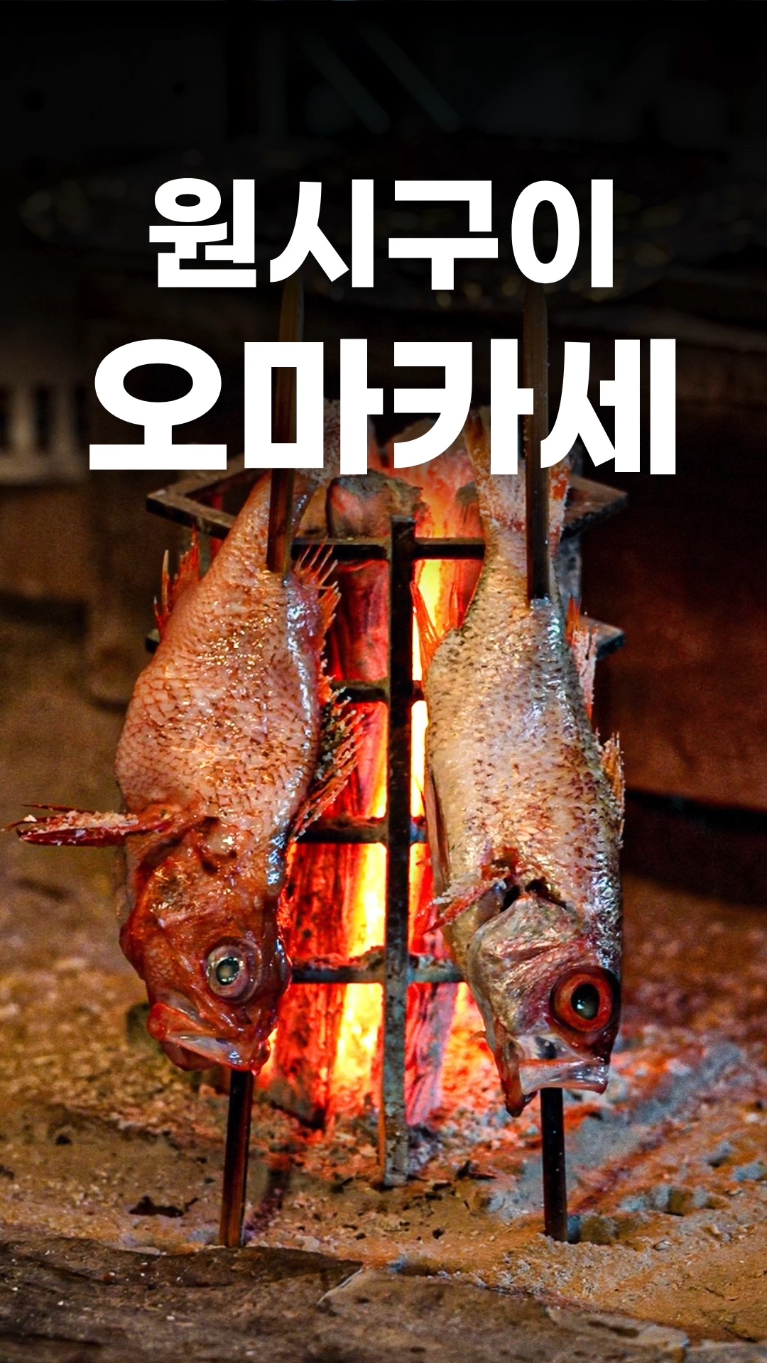 로바타 라이브라 카운터 사진 2