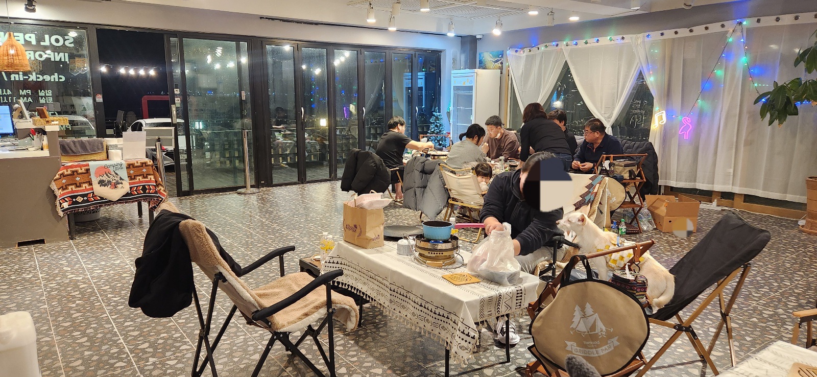 돌담넘는고양이 사진 2