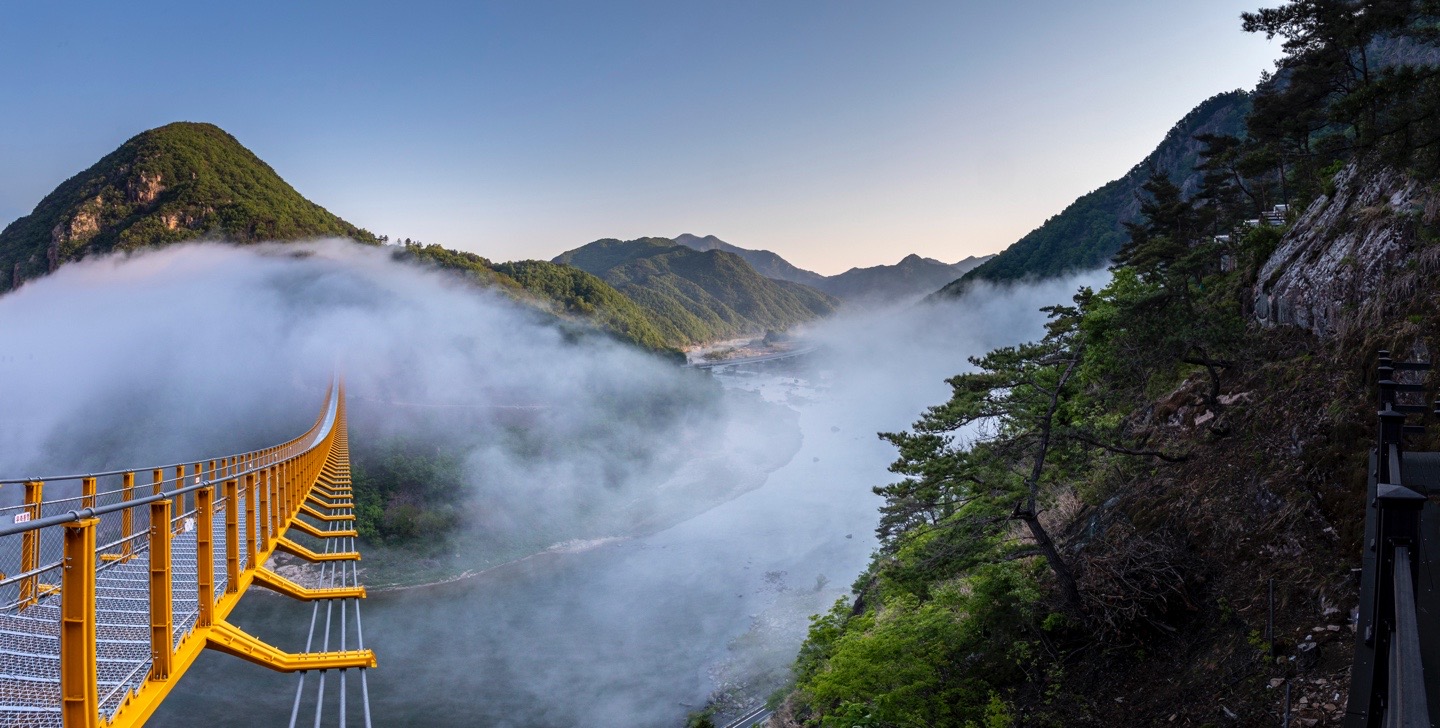 월영산 출렁다리 사진 4