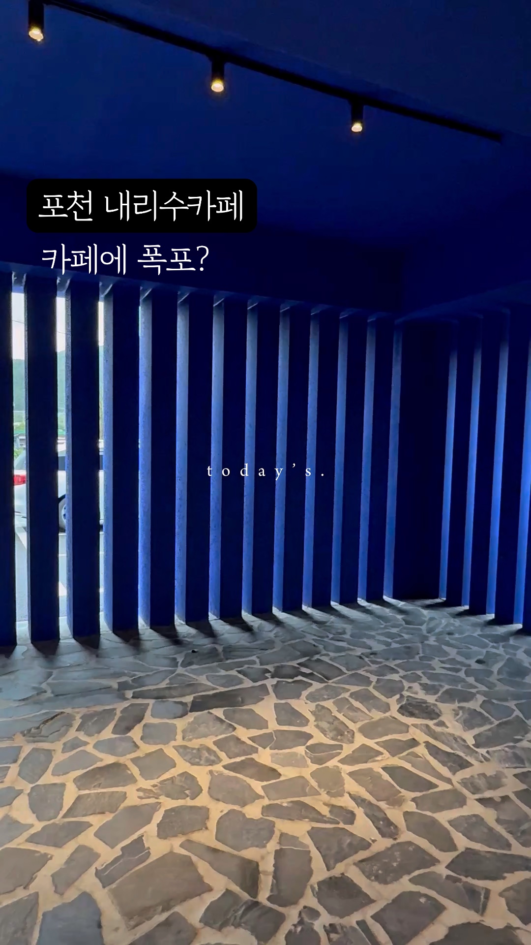 내리수 사진 2