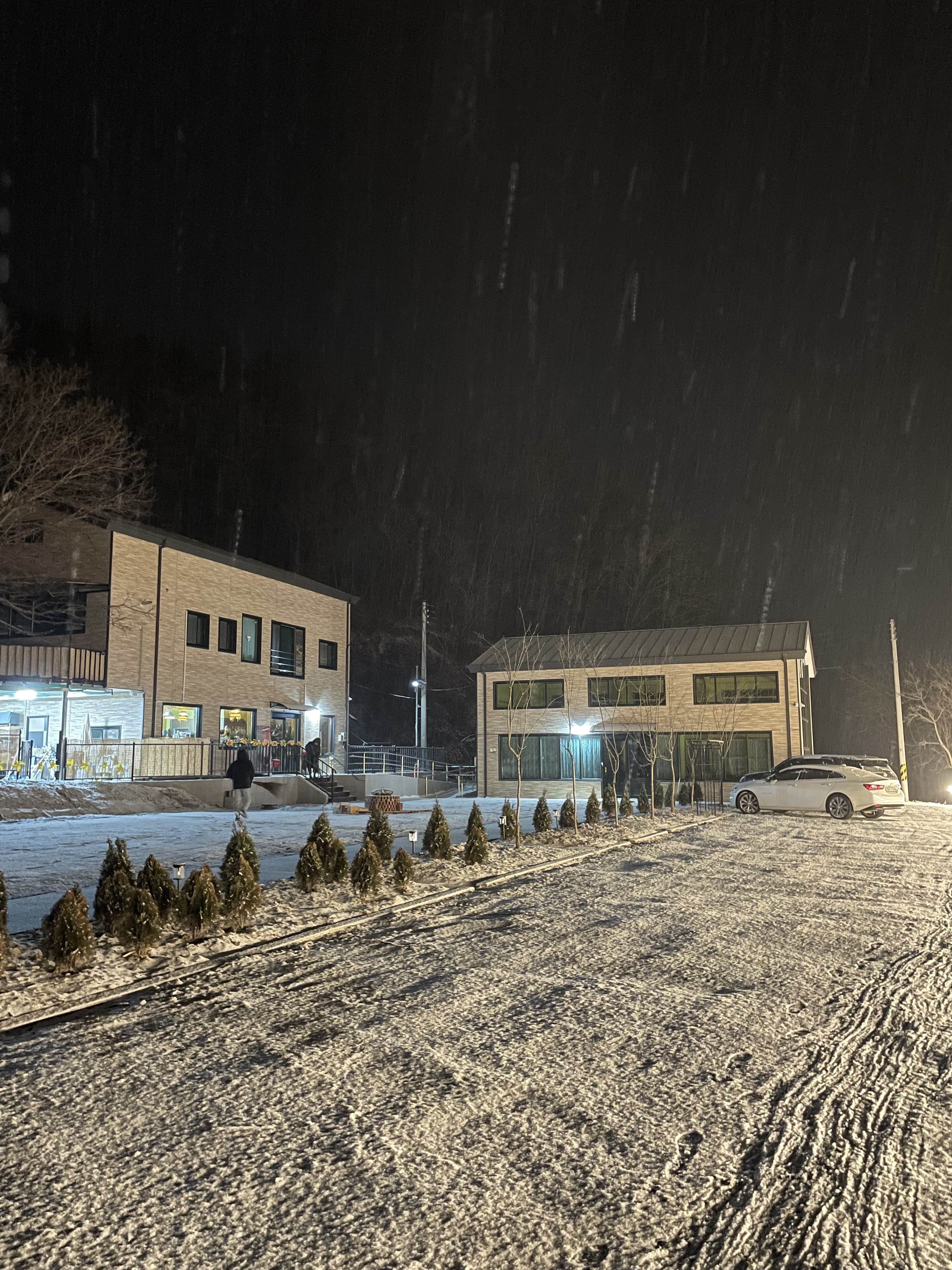 정원 카페 사진 2