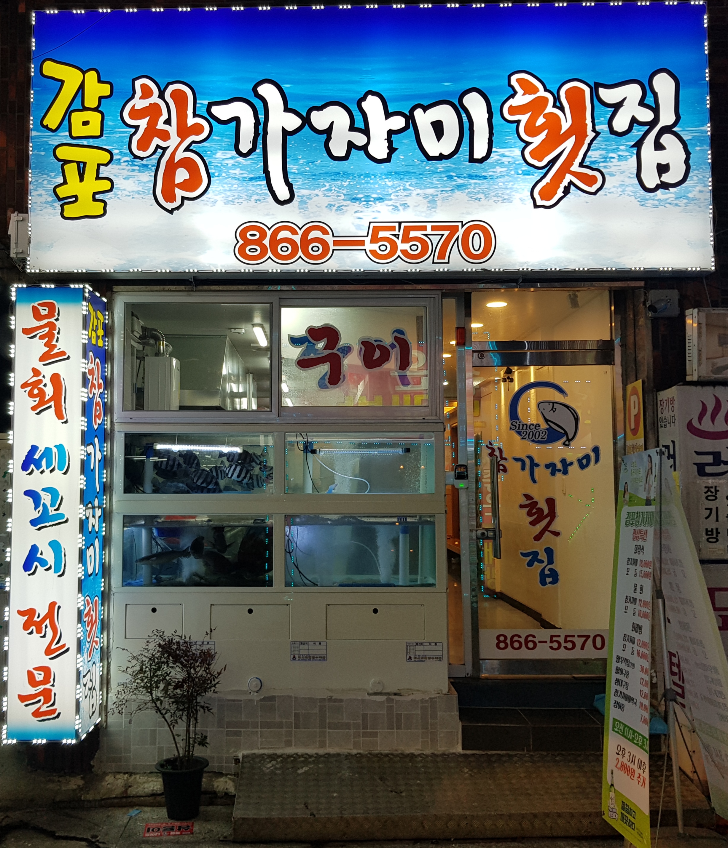 감포참가자미횟집 사진 1