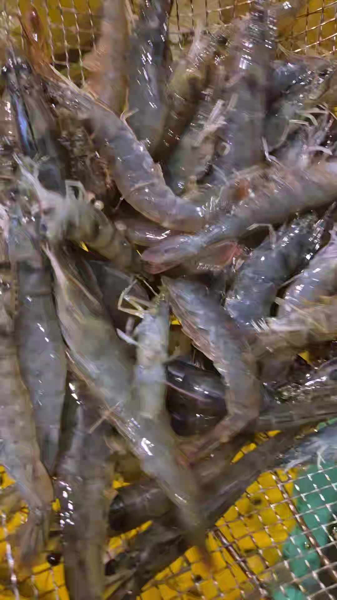 초장집 사진 2