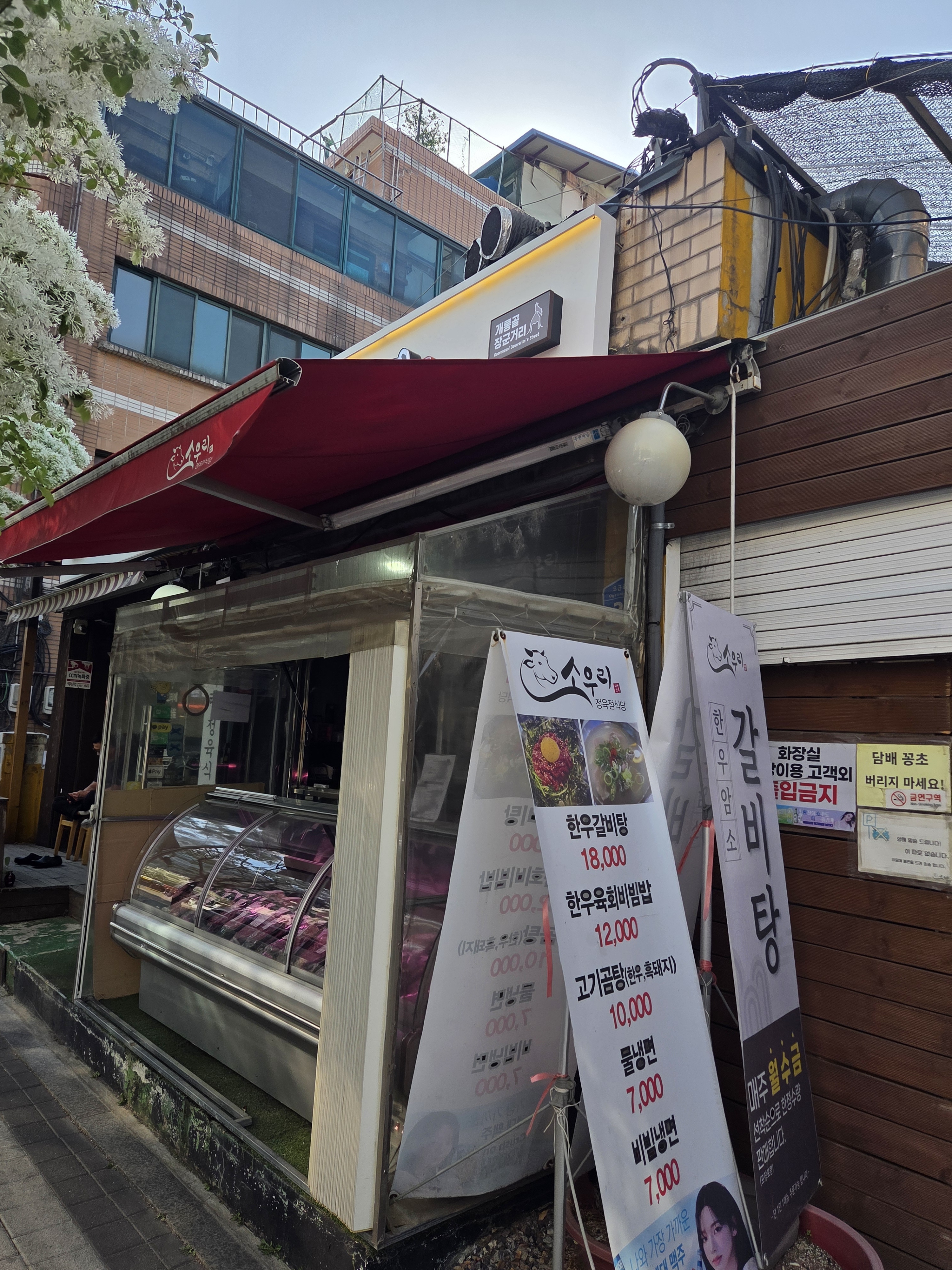 소우리 사진 5
