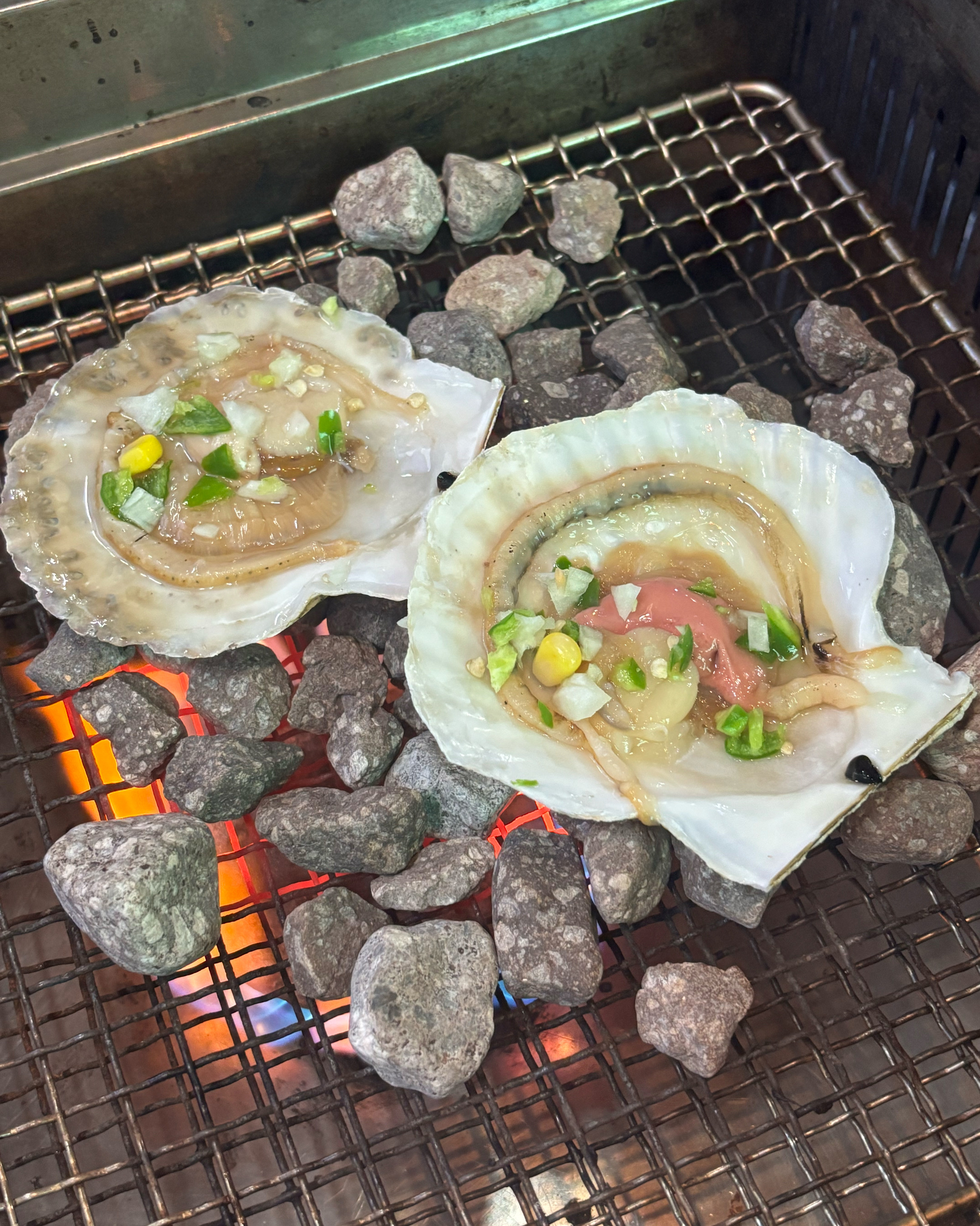 머구리 사진 4