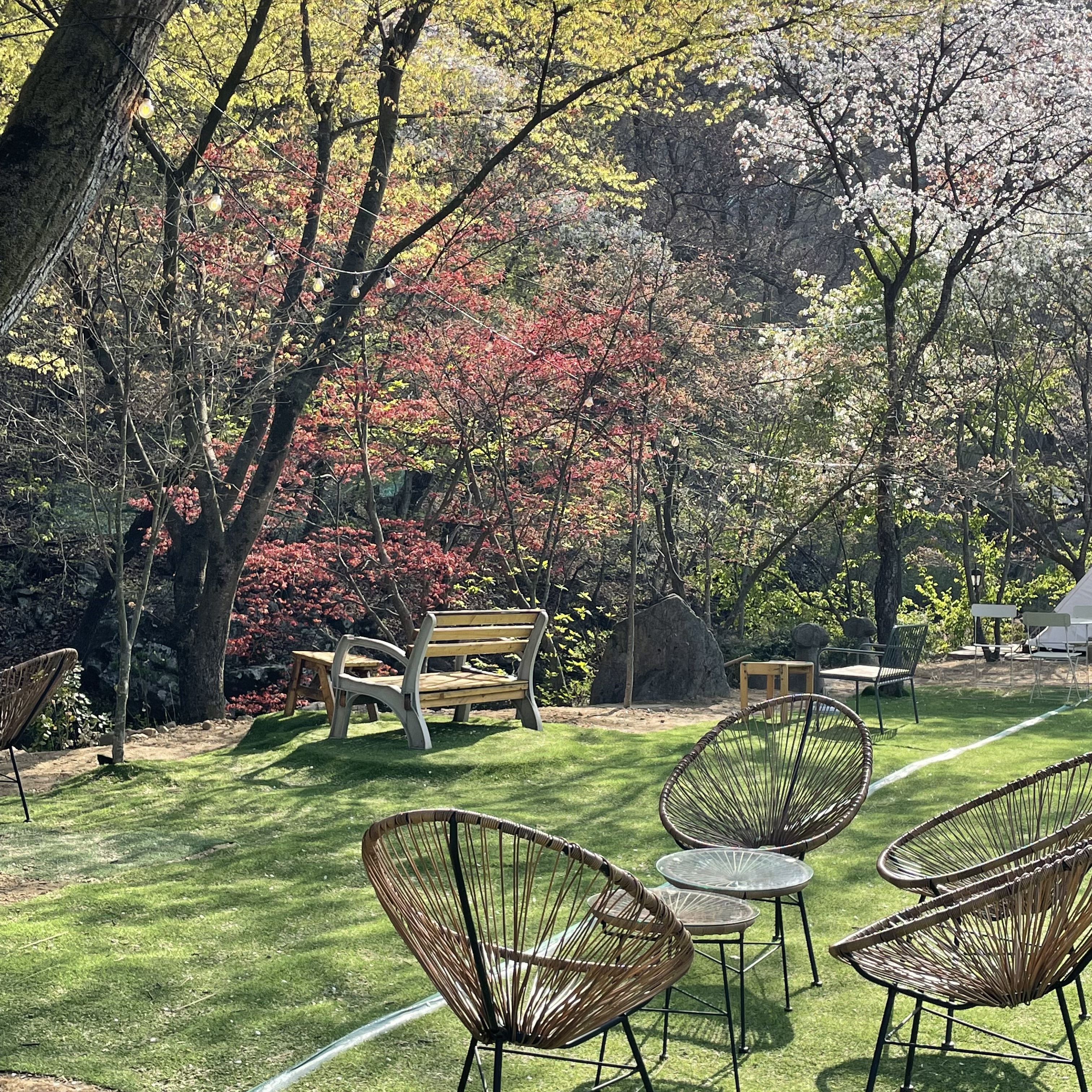 몽쥬이에 사진 1