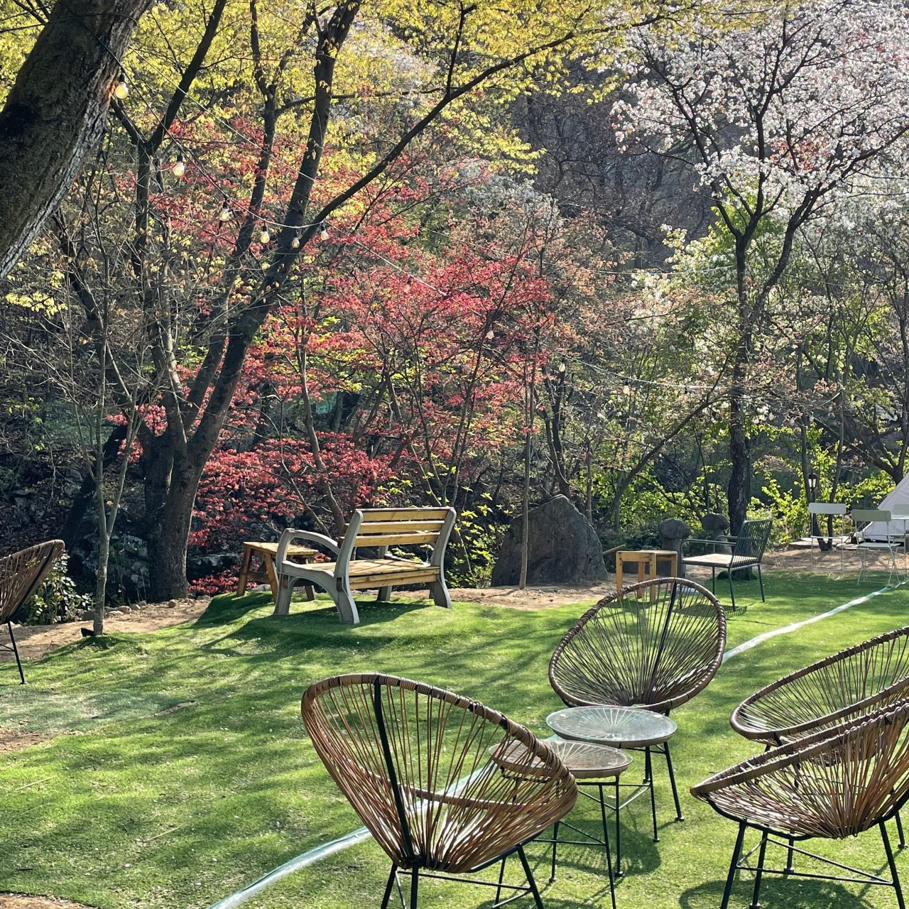 몽쥬이에 사진