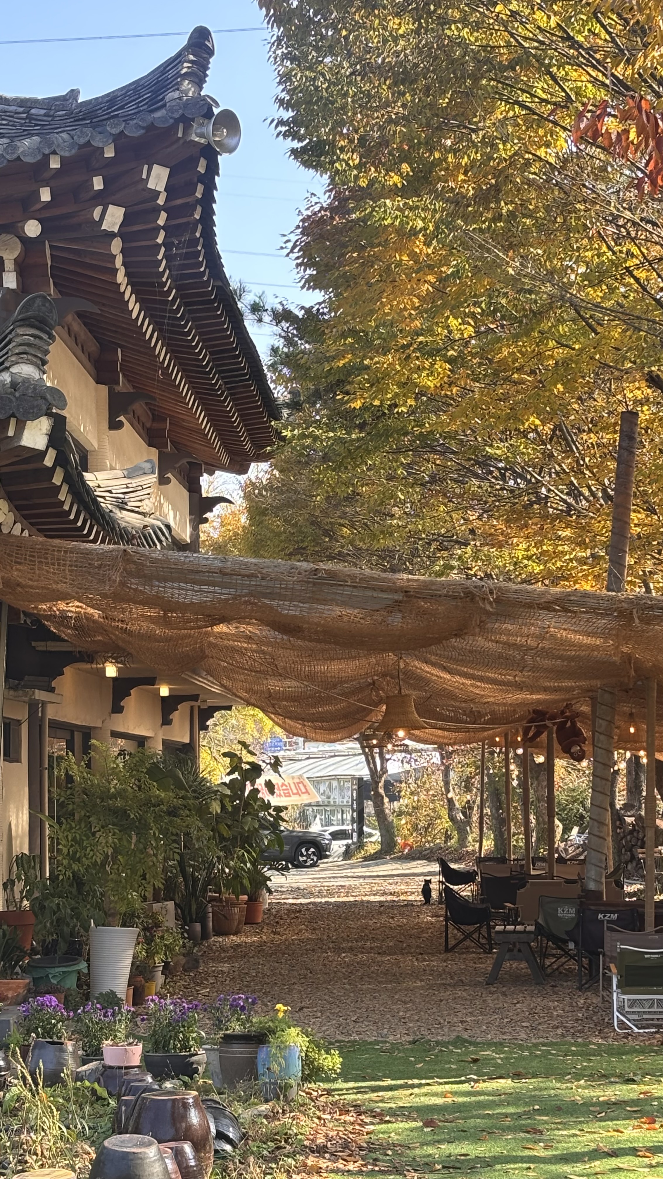 몽쥬이에 사진 5