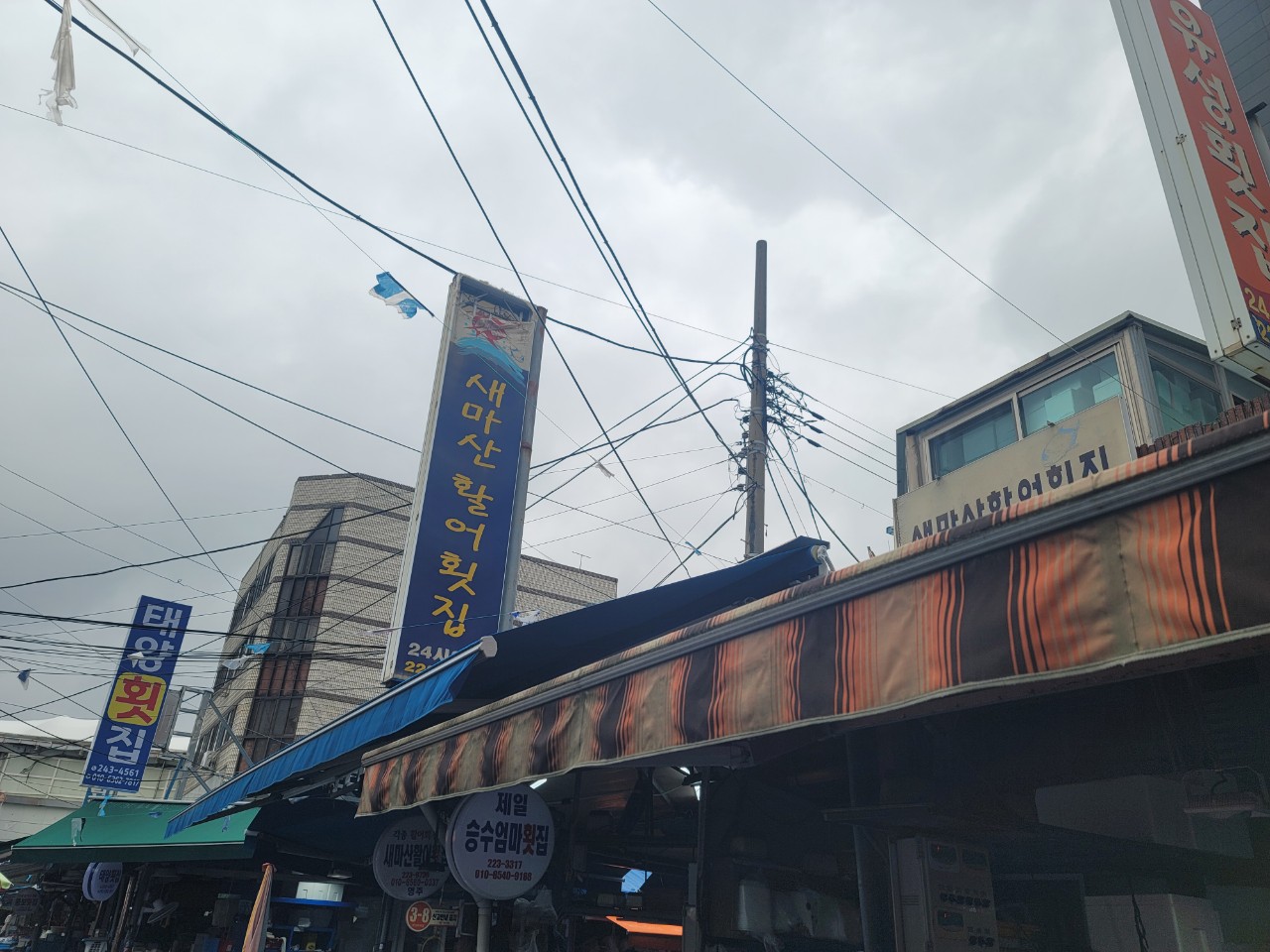 새마산활어횟집 사진 2