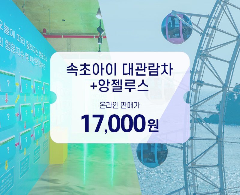 속초아이대관람차 사진 2