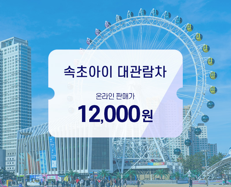 속초아이대관람차 사진 3
