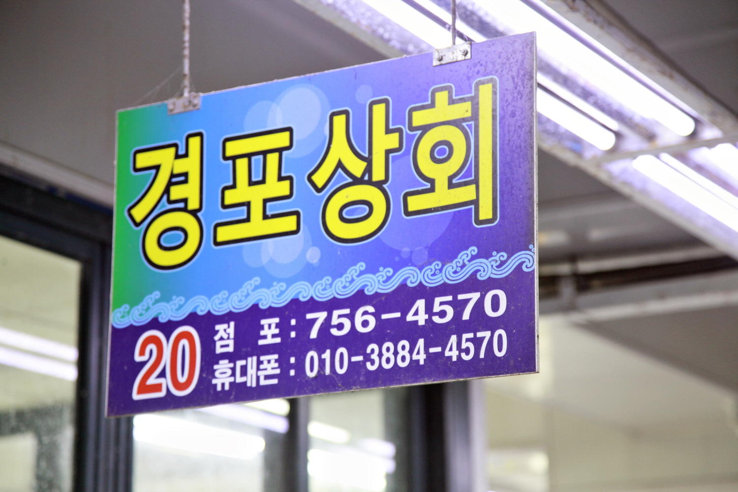 민락회센터 경포상회 사진 2