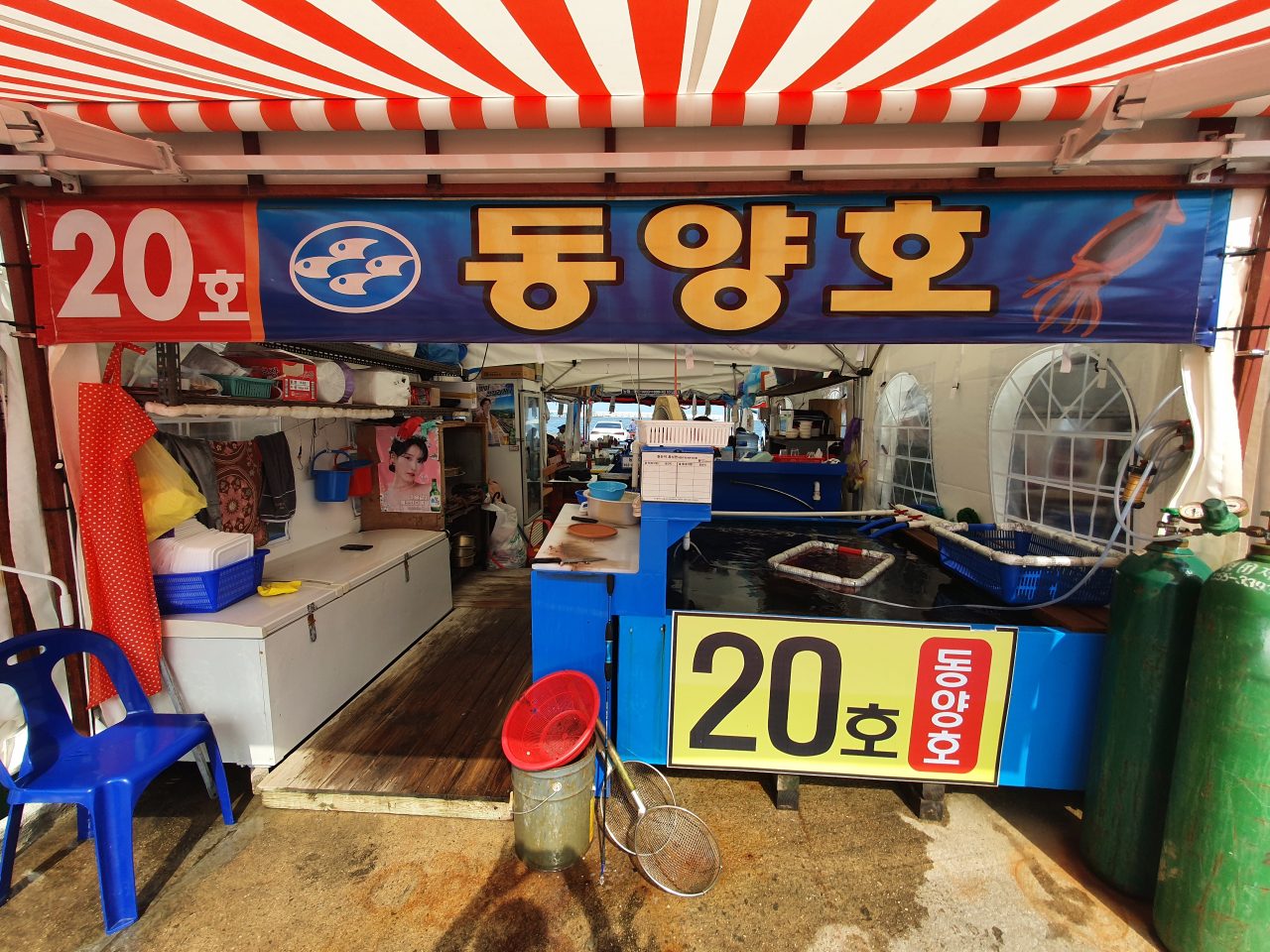 오징어난전20호동양호 사진