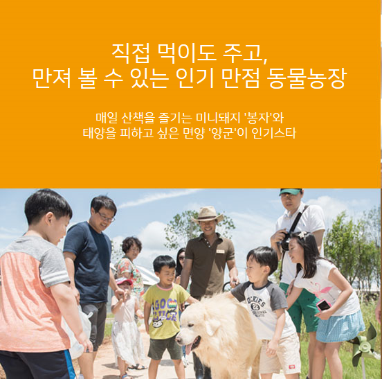 상하농원 동물농장 사진 2