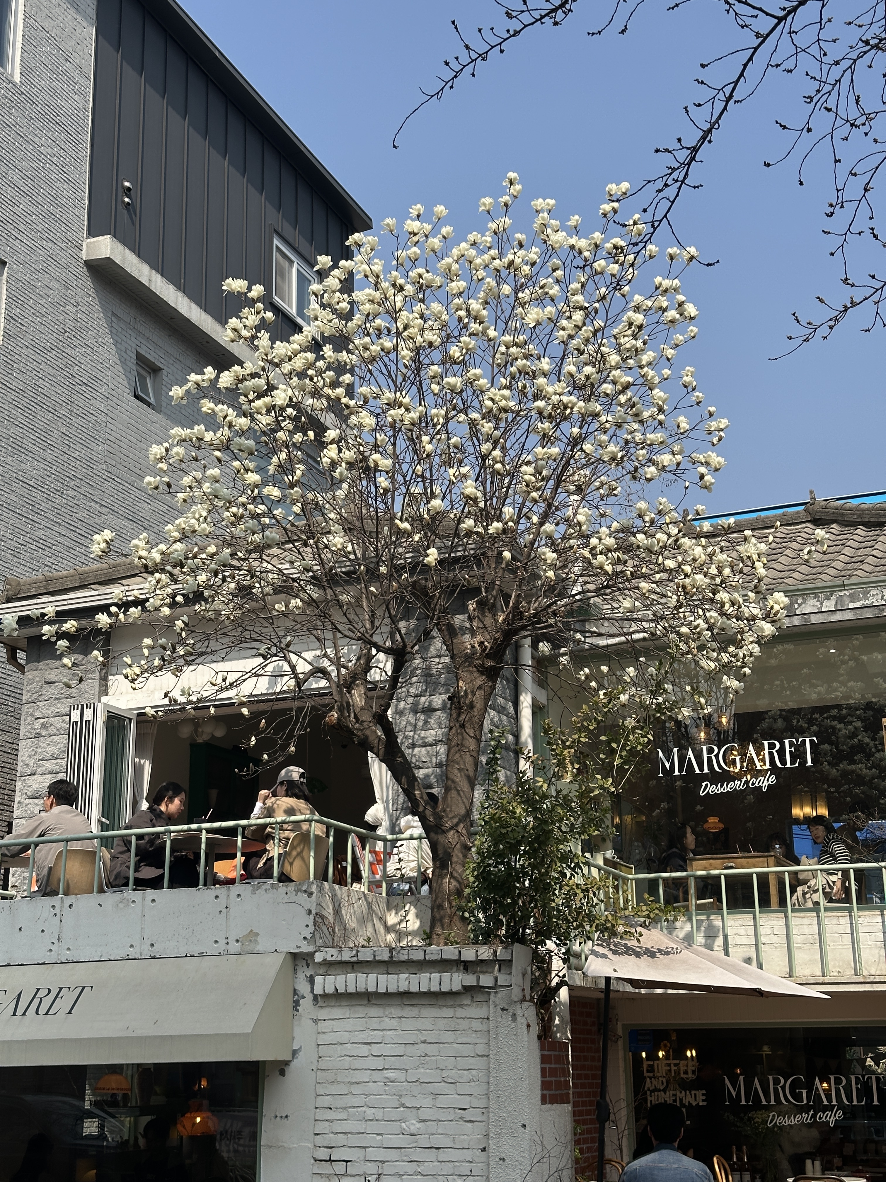 마가렛 연남 사진 4