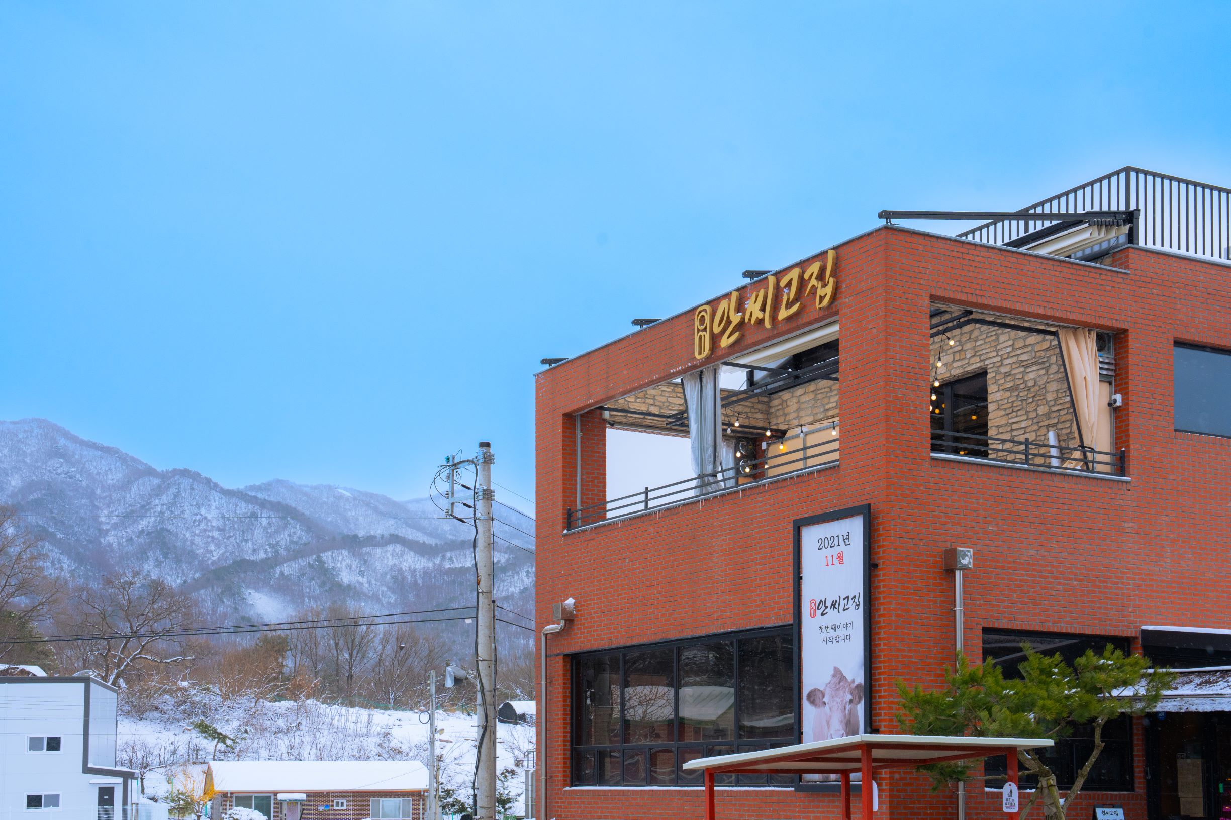 안씨고집 사진 3