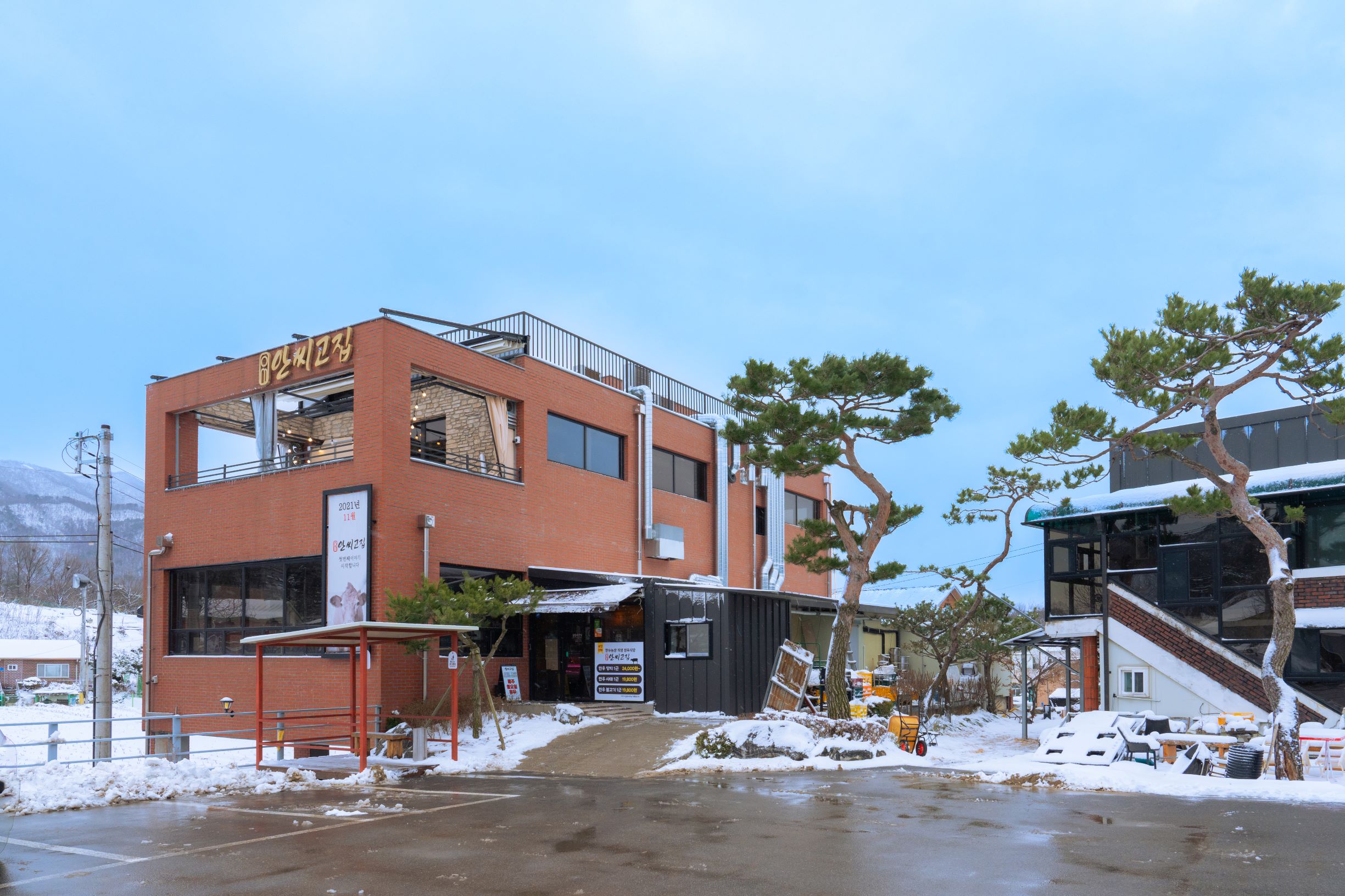 안씨고집 사진 4