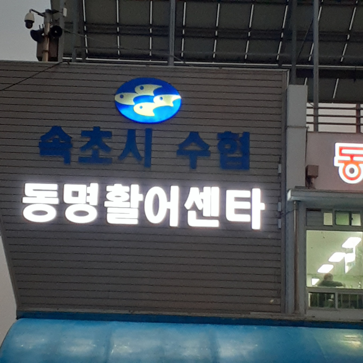 속초시수협동명활어센터 사진
