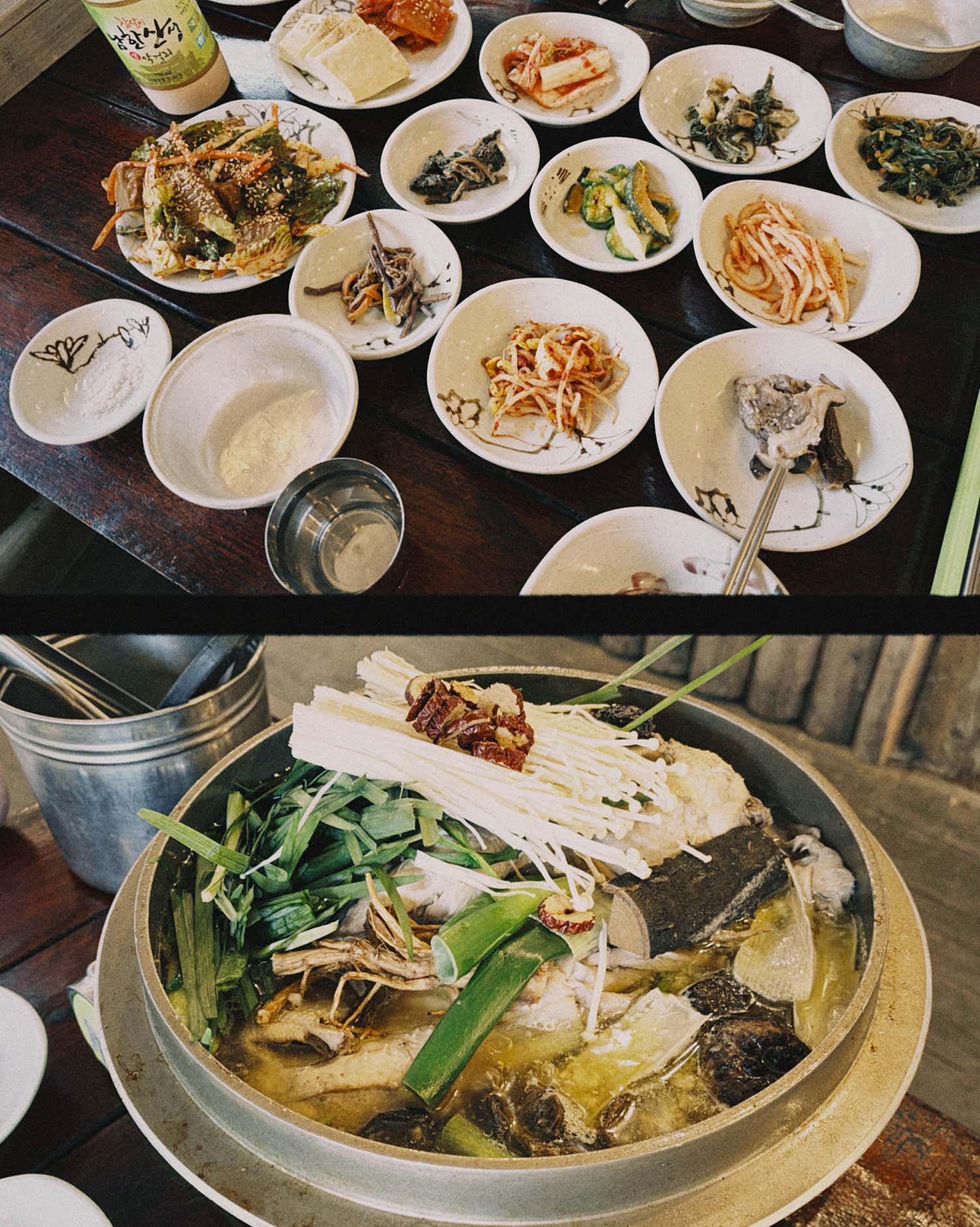 초가 사진 4