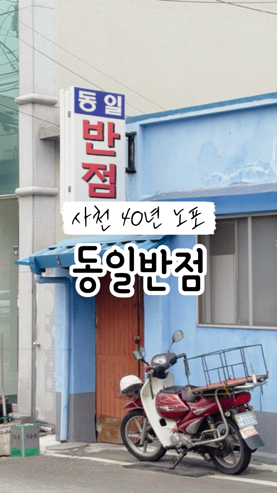 동일반점 사진