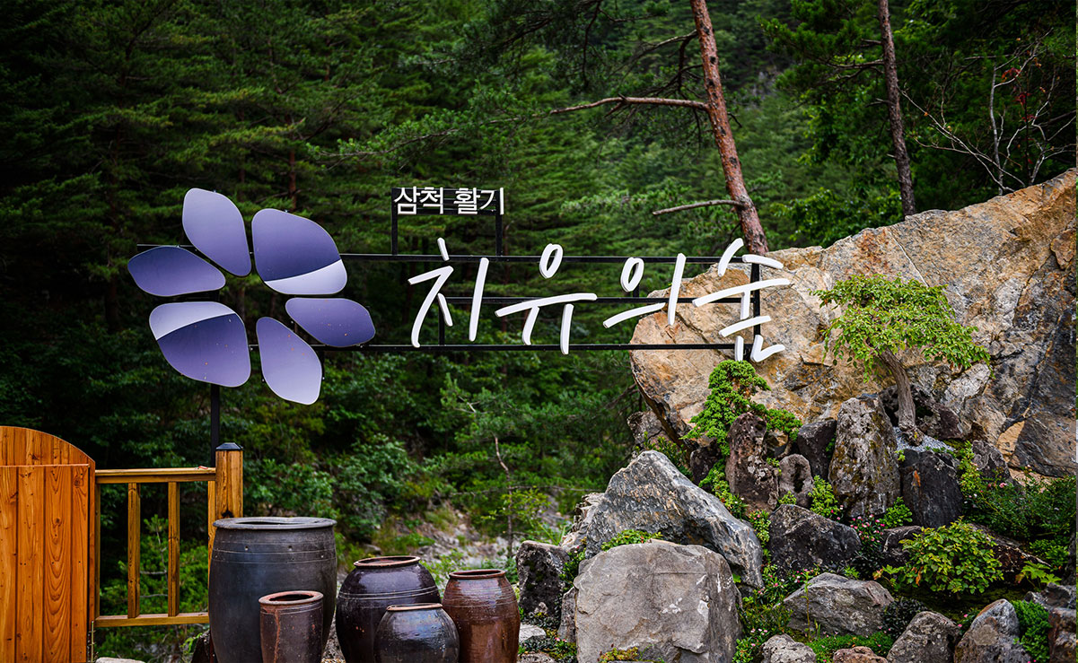삼척활기치유의숲 사진