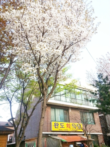 완도회식당 사진 2