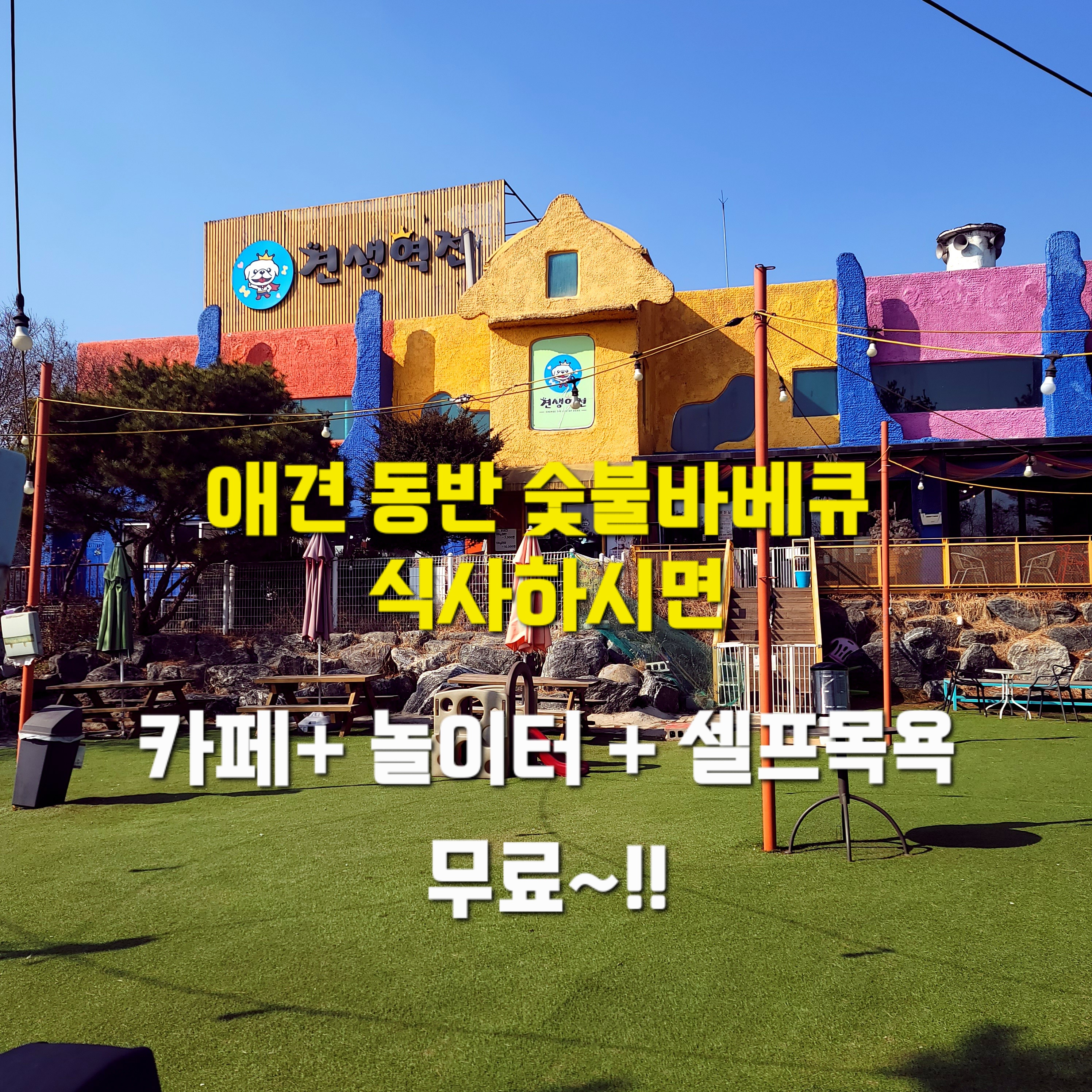 견생역전 사진 1