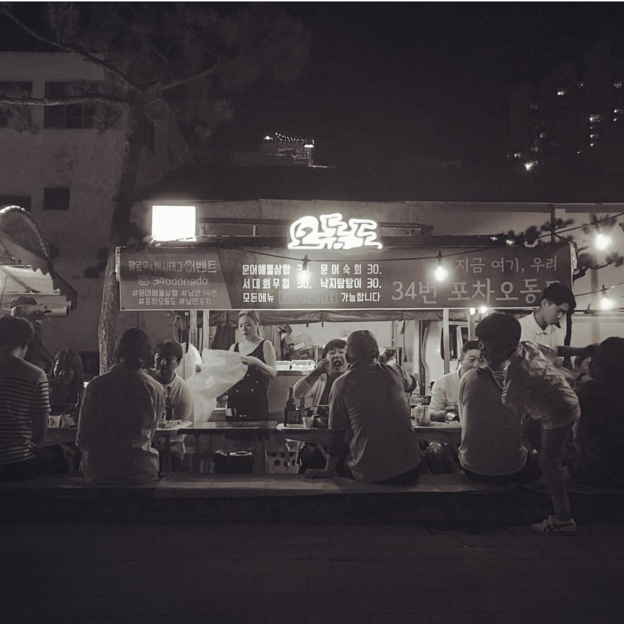 오동도 사진 1