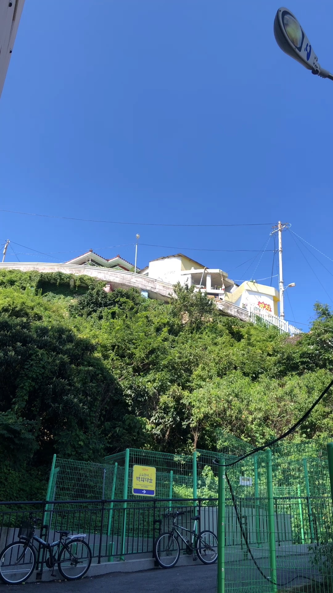 오동도 사진 3