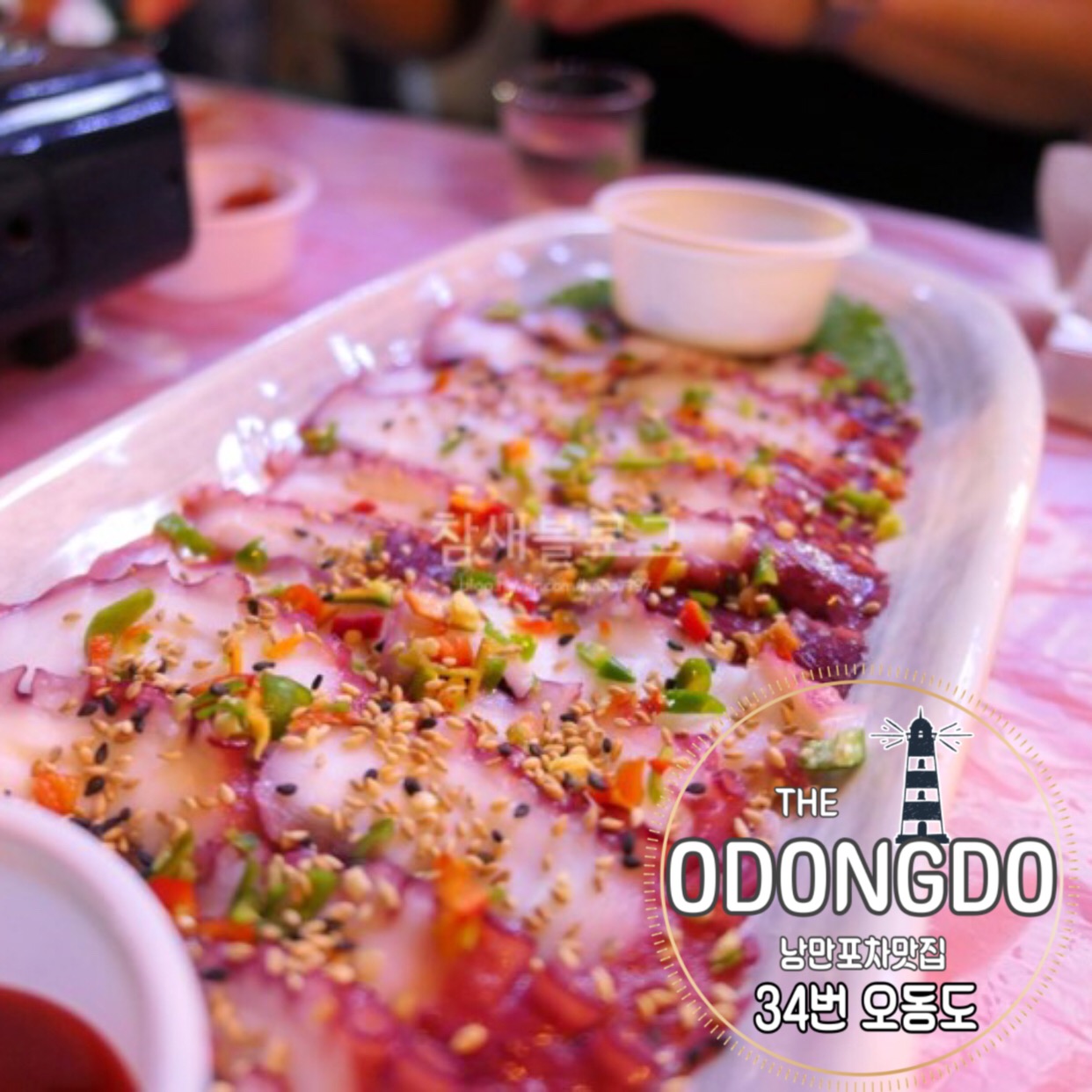 오동도 사진 4