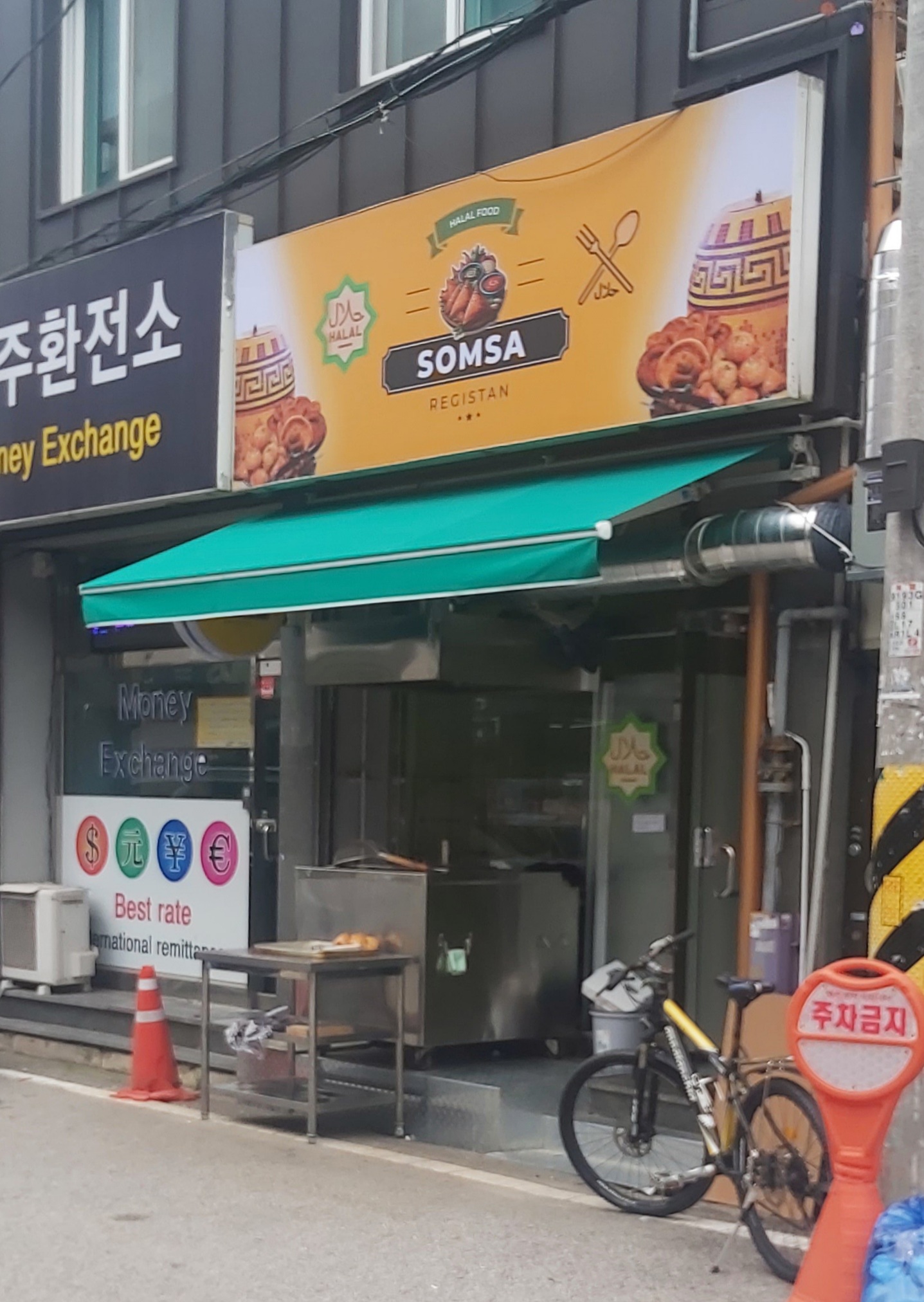 솜사 사진