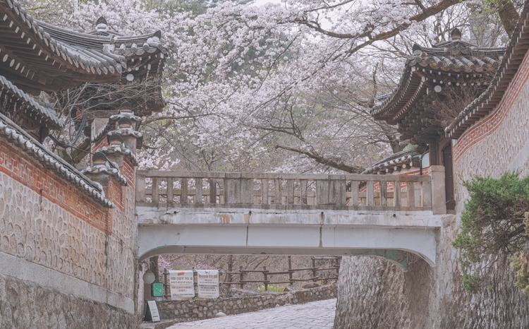 선운각 사진 4