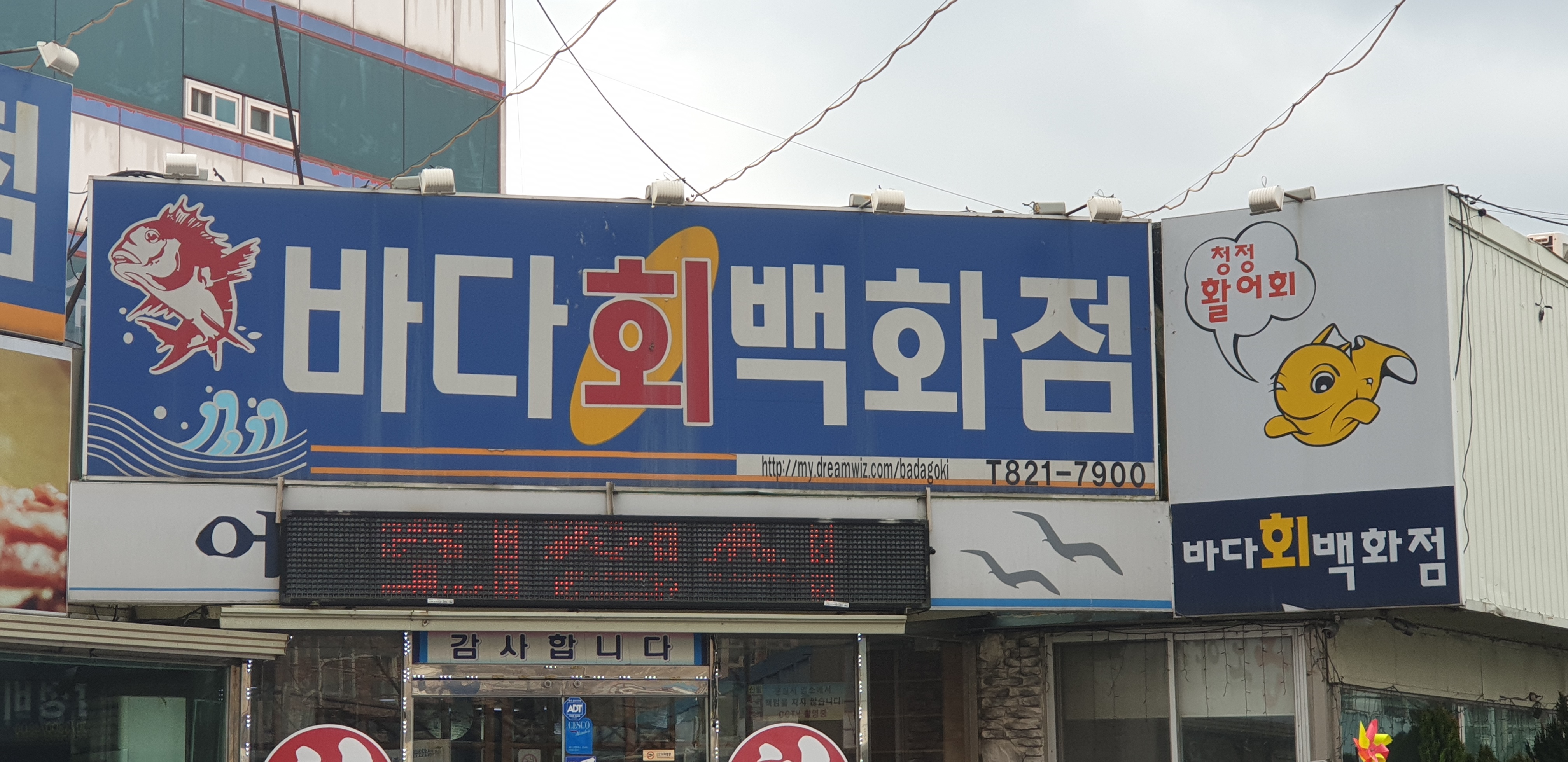 바다회백화점 사진 1