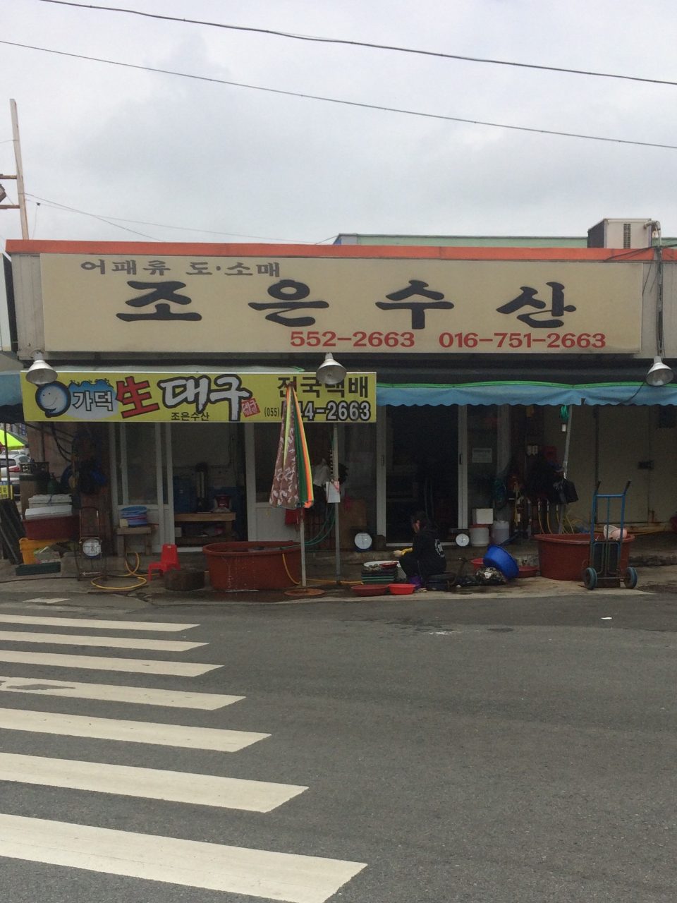 조은수산 사진