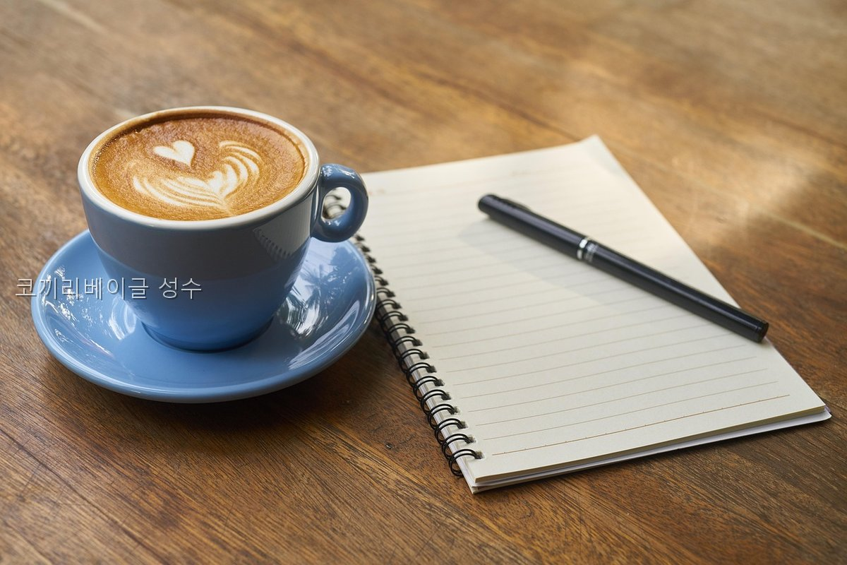코끼리베이글 성수 사진 5