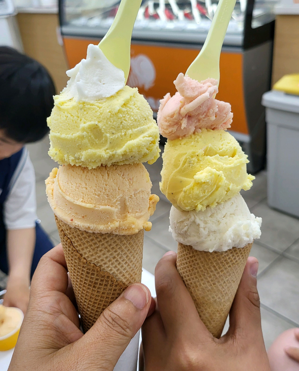 아로카 사진 2