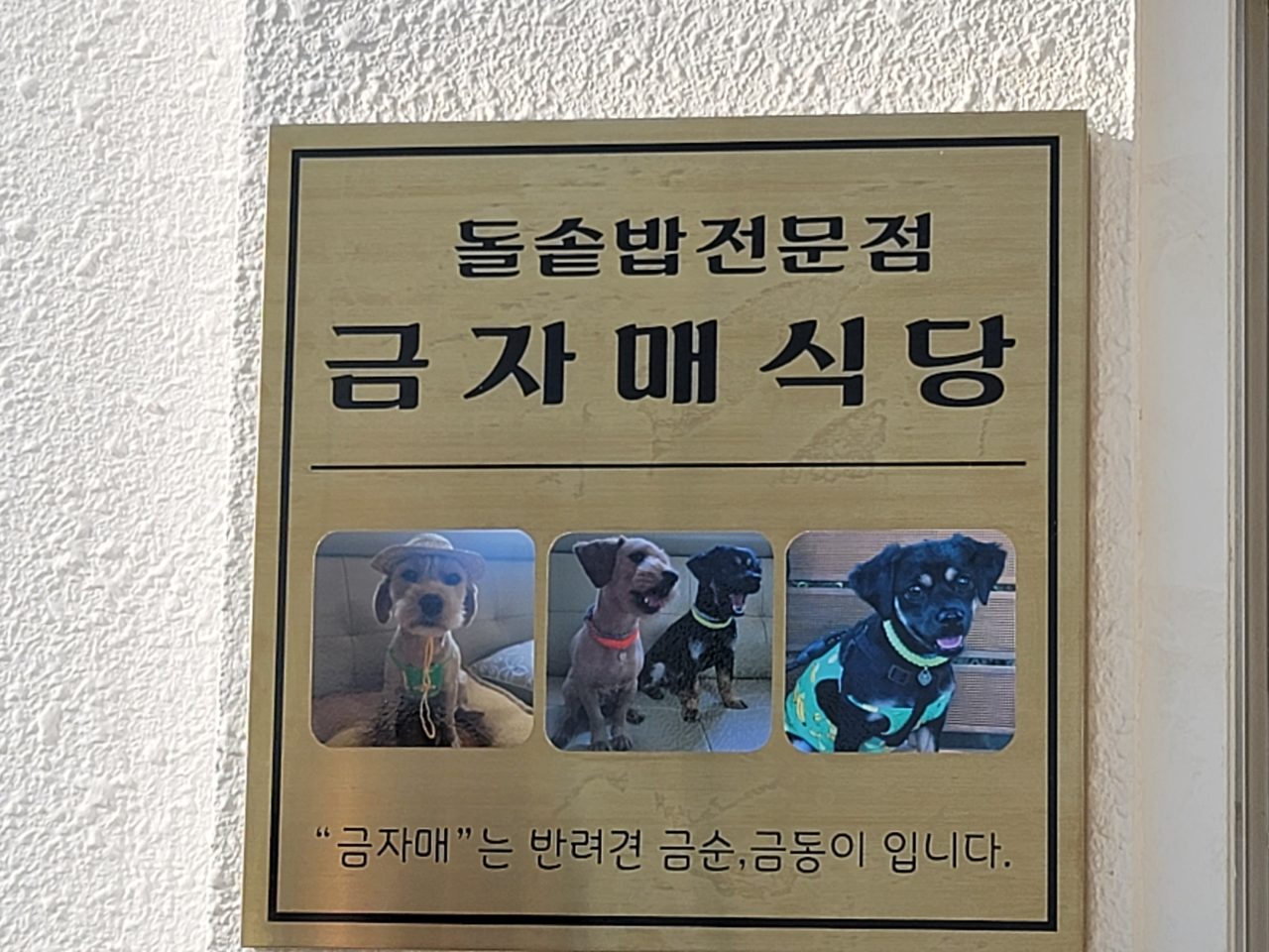 금자매식당 사진