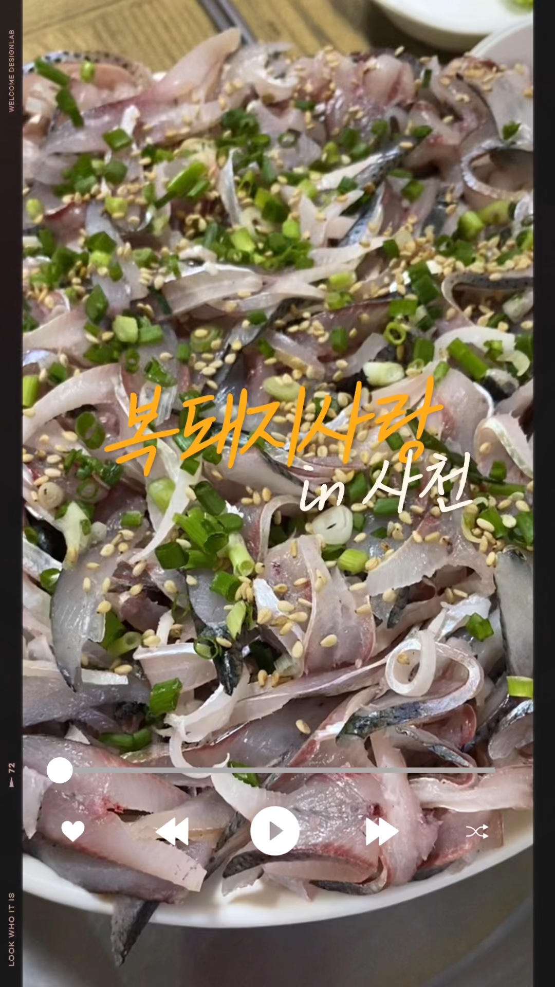 복돼지사랑 사진