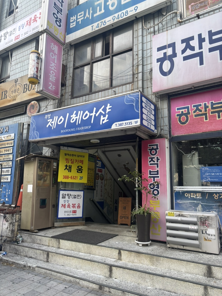 교카이젠 사진 5